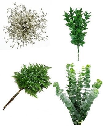 Special Combo Box - Fillers & Greens 140 stems 140 fillergreen