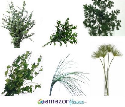 Fresh greenery