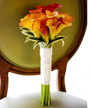 Bridal Bouquet Flame Flame