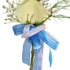 Boutonniere Indian