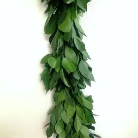 Israeli Ruscus Garland