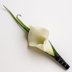 Boutonniere Aqua Elegance