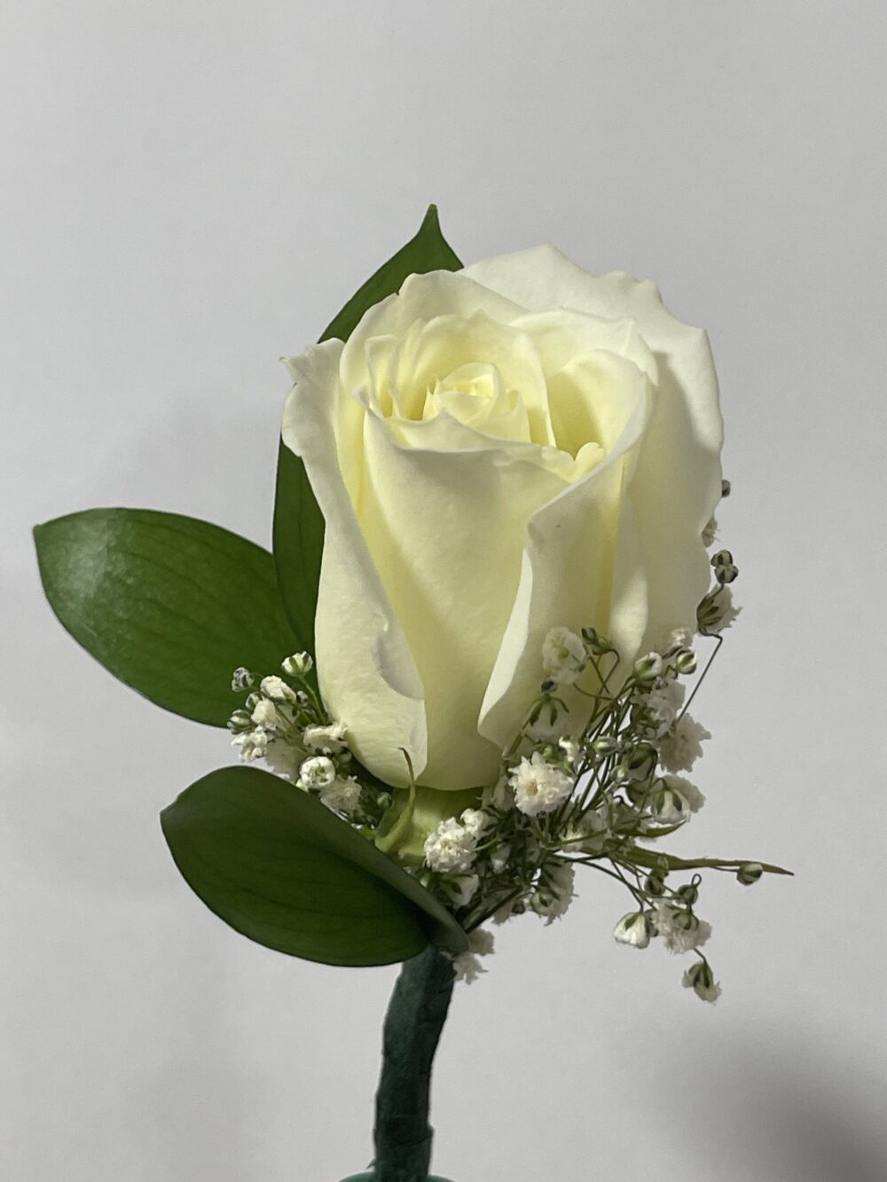 boutonniere charming skype picture 2024 08 06t21 18 16 429z