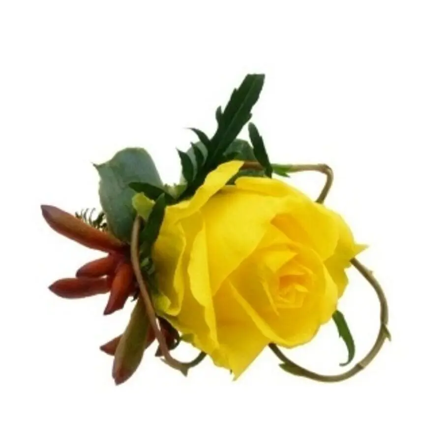 boutonniere innocence boutonniere innocence innocence boutonniere upd e1753114424946