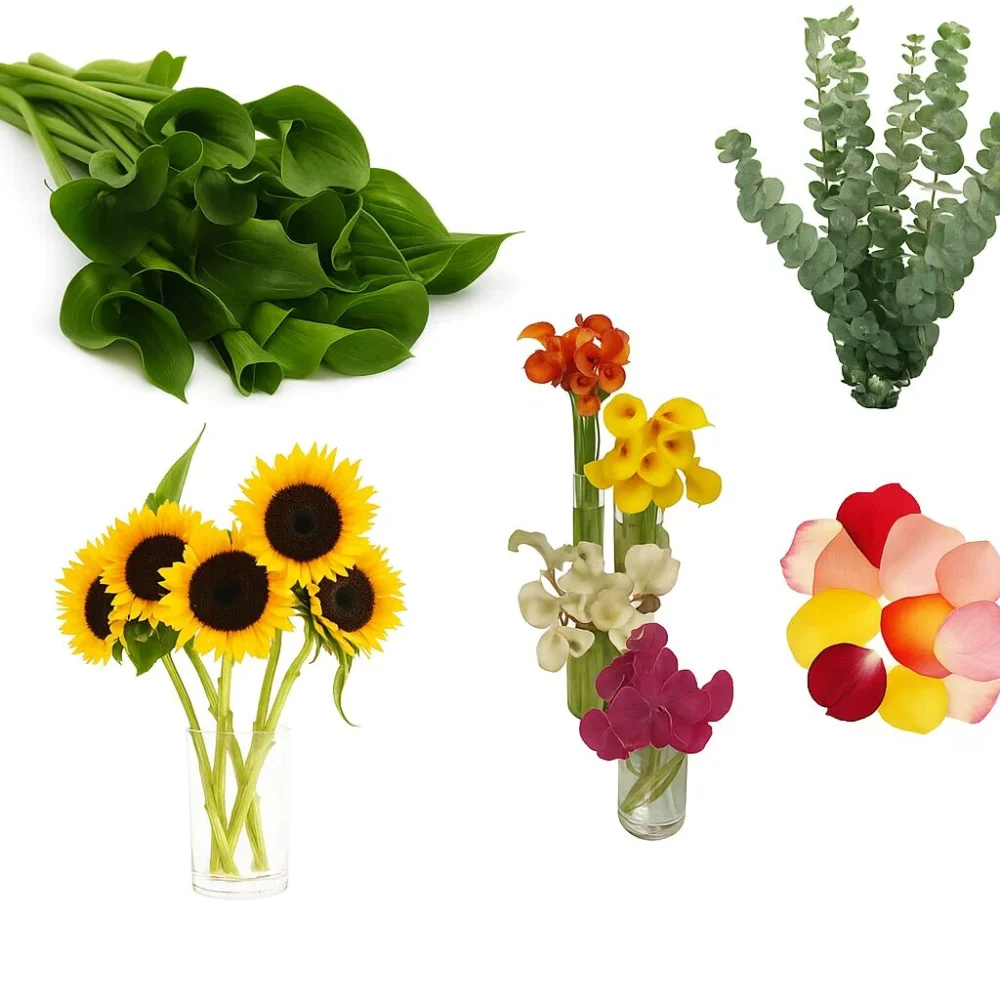 Generated image (7) combo box iguazu falls combo box iguazu falls generated image 7