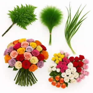 Combo Box Sahara Desert