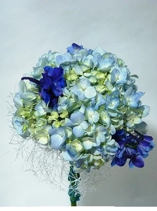 toss bouquet mercury mercury
