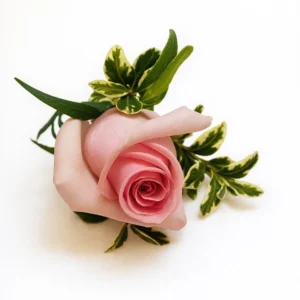 Boutonniere Baby Pink