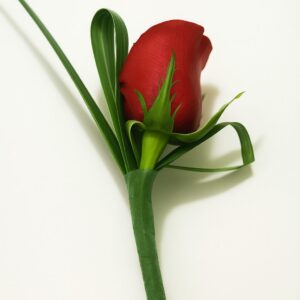 Boutonniere Raspberry