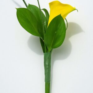 Boutonniere Sunlight