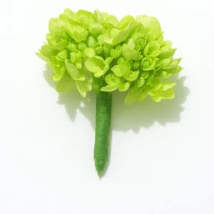 Boutonniere Valley