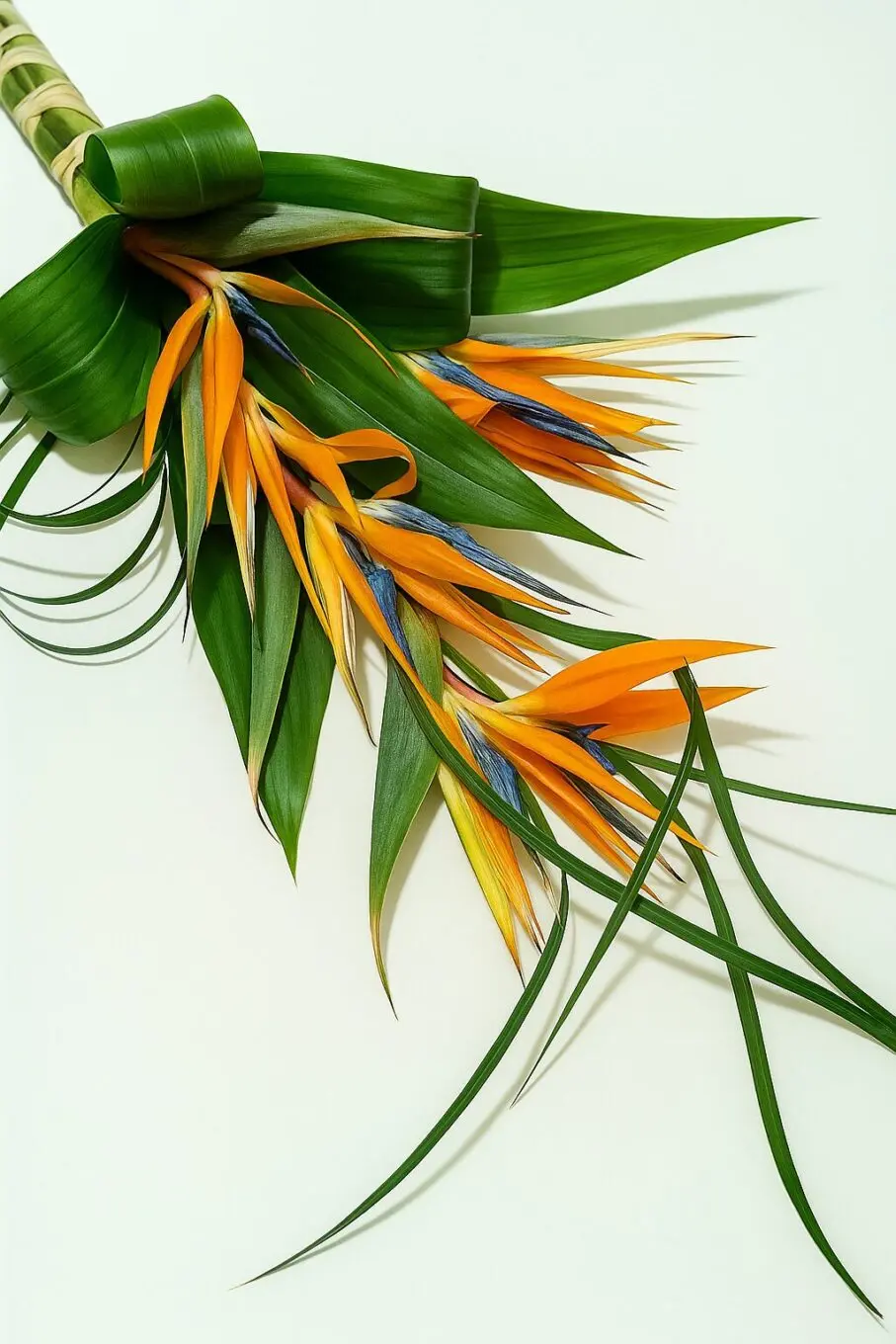 bridal bouquet birds of paradise bridal bouquet birds of paradise birds of paradise bridal