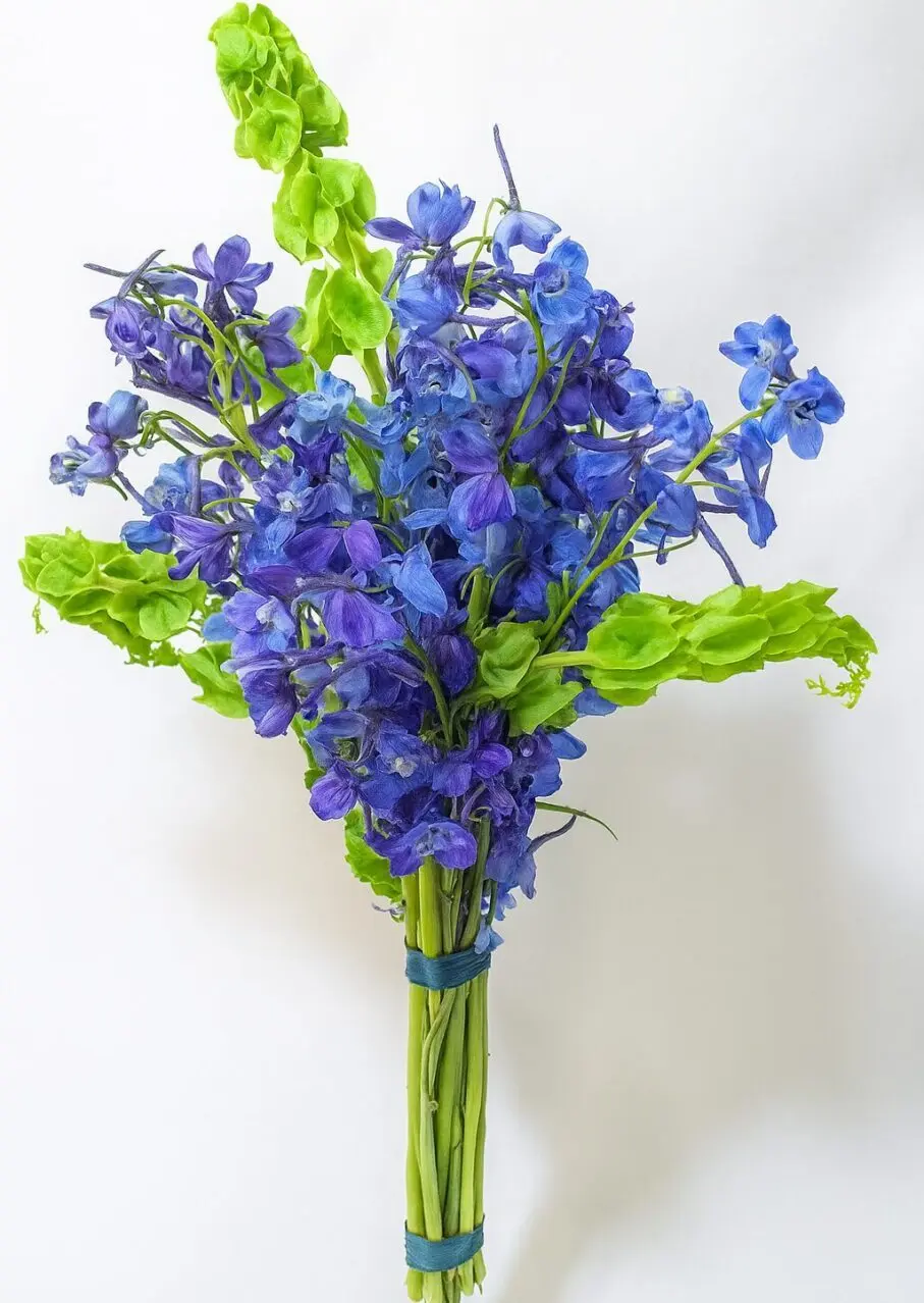 bridal bouquet freedom bridal bouquet freedom freedom bridal e1753287959186