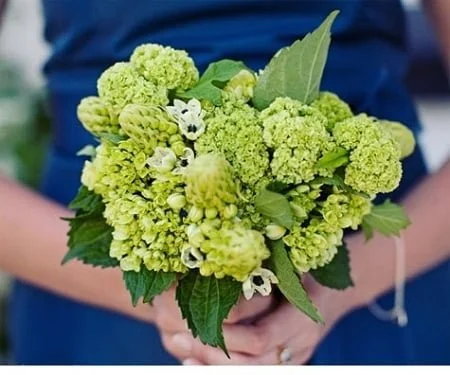 bridesmaid bouquet green life green life