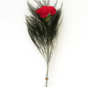 Carnation Single Stem BQT with Green