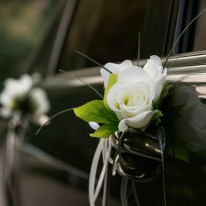 Corsage For a Car - Door Style