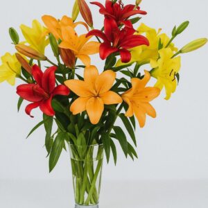 Fresh Asiatic Lilies