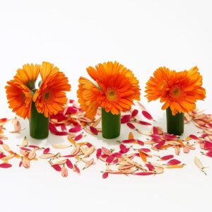 Wedding Centerpiece Oz
