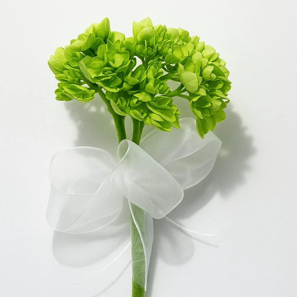 corsage splendour corsage splendour corsage splendour 1