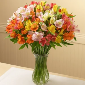 Fresh Peruvian Lilies or Alstroemeria