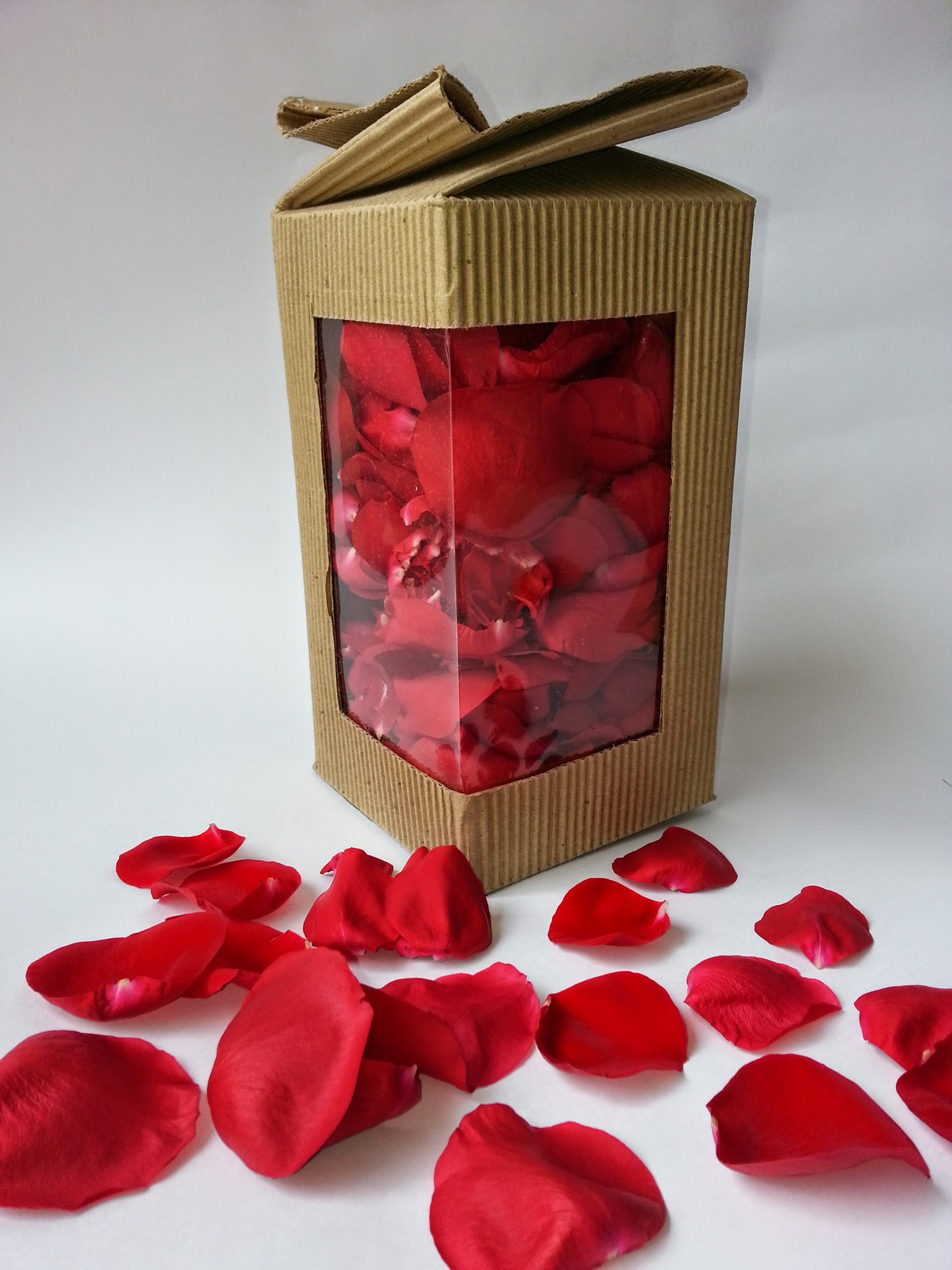 Red Silk Rose Petals, 100 petals per bag