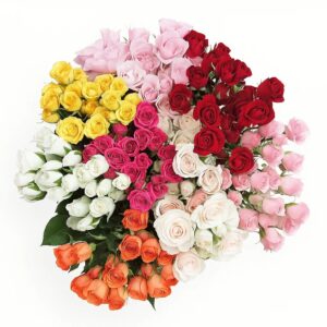 Fresh Spray Roses (Mini-Roses)