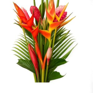 Fresh Tropical Flowers