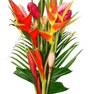 Fresh Tropical Flowers