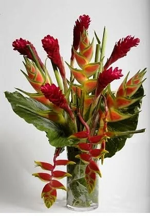 Tropical Arrangement assorted flowers Medium size