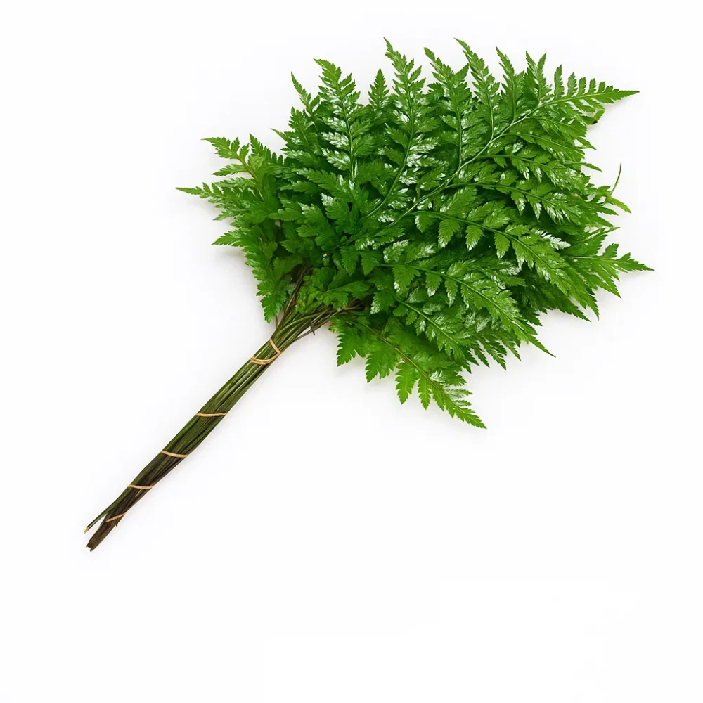 leather leaves fresh filler ia leatherleaves 1.jpg