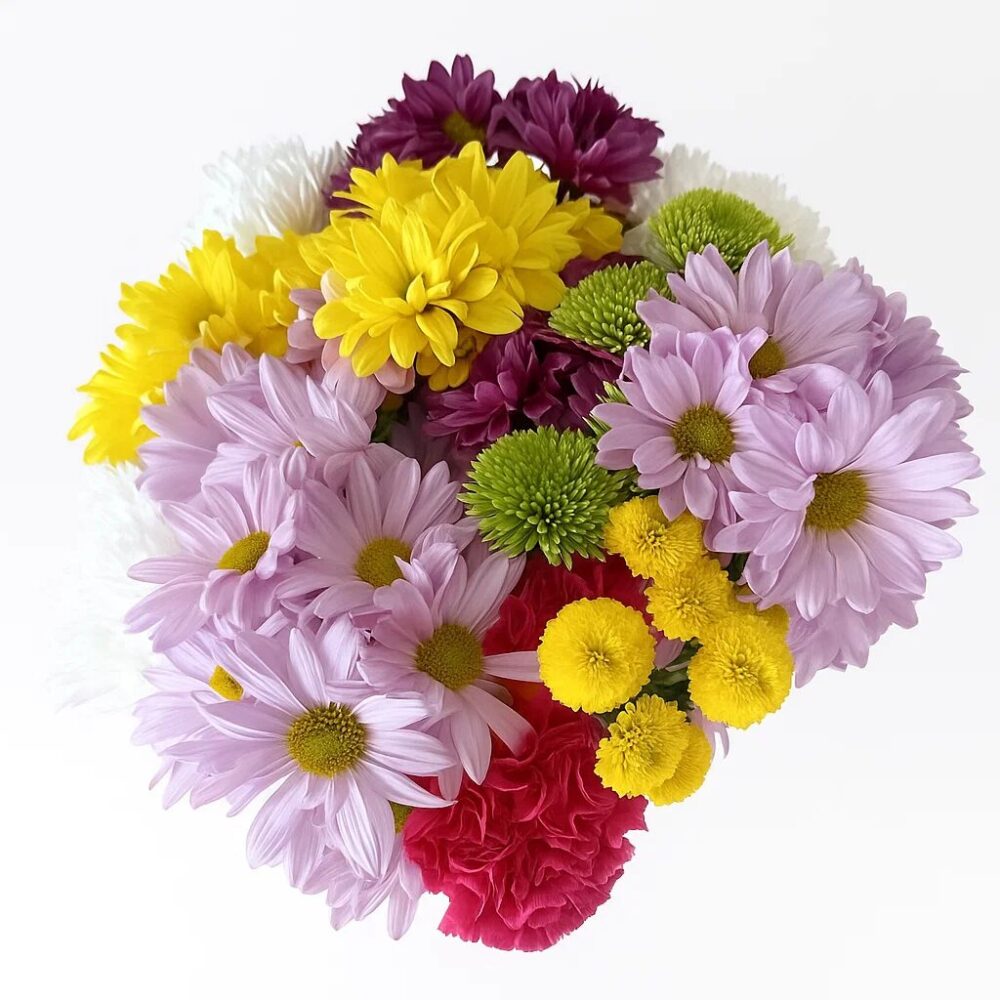 poms daisy cushion button poms daisy cushion button poms daisy cushion button