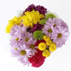 Poms | Daisy - Cushion - Button