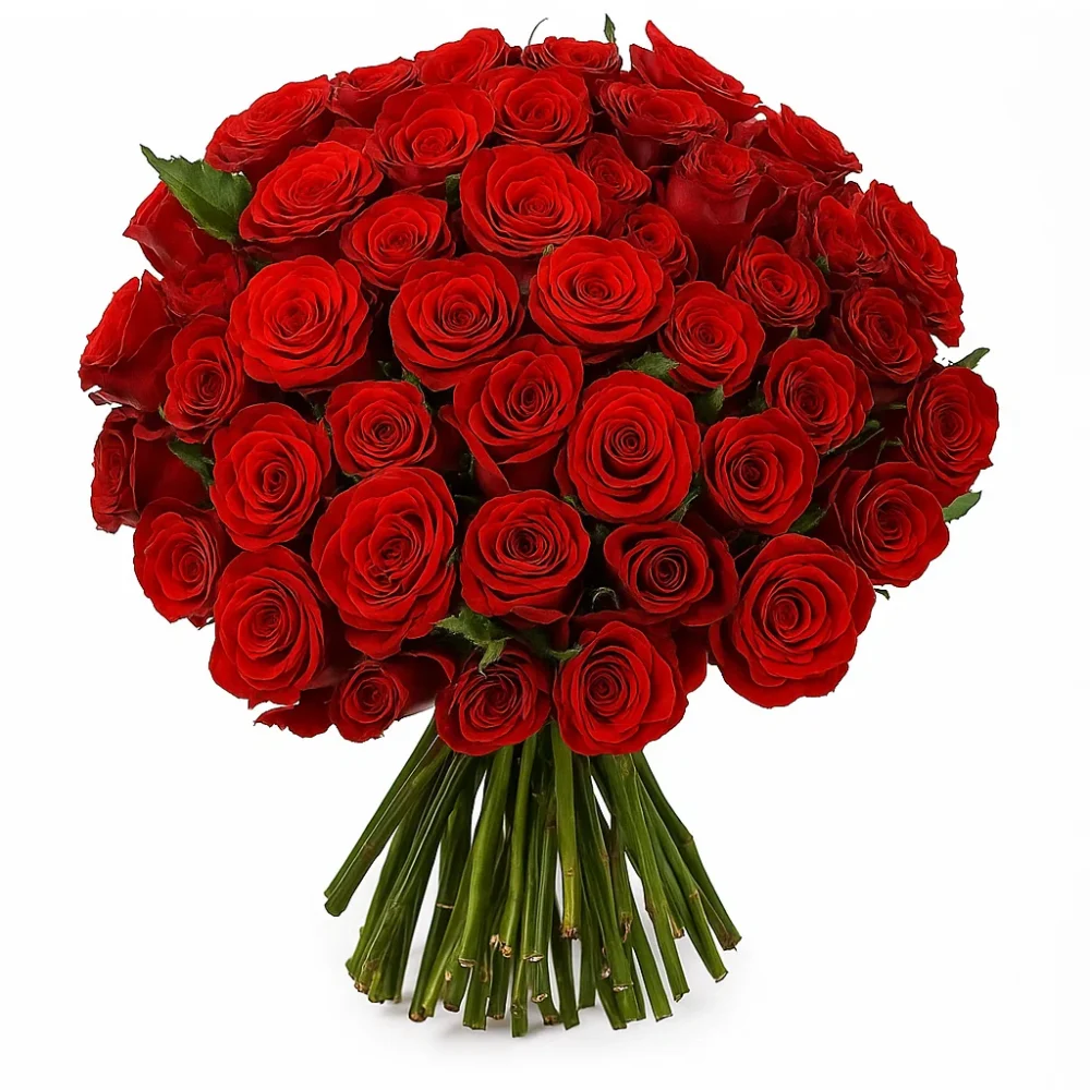 roses 16 inches length roses 16 inches length 1