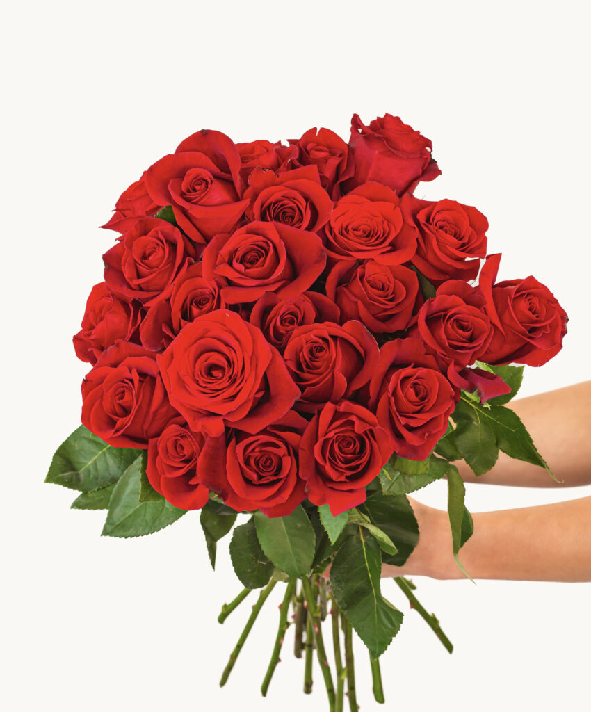 Valentine's Flowers 3 Roses - 20 Inches Length