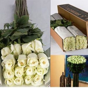 Single Roses Bouquets Wholesale