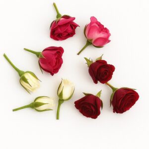 Roses Heads (Fresh)
