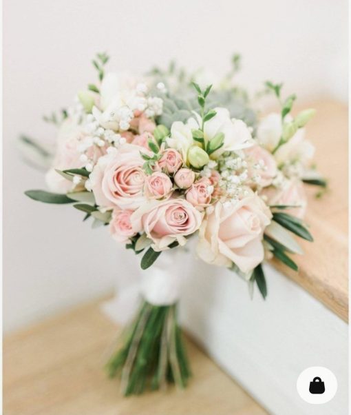 Special Combo Box Christy S