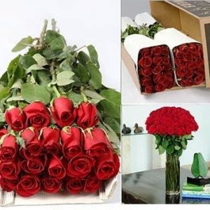 Roses - 16 Inches Length