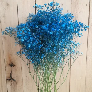 Baby Blue Tinted Gypsophillia Baby's Breath Premium, 70cm