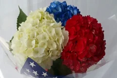 Patriotic Celebrations