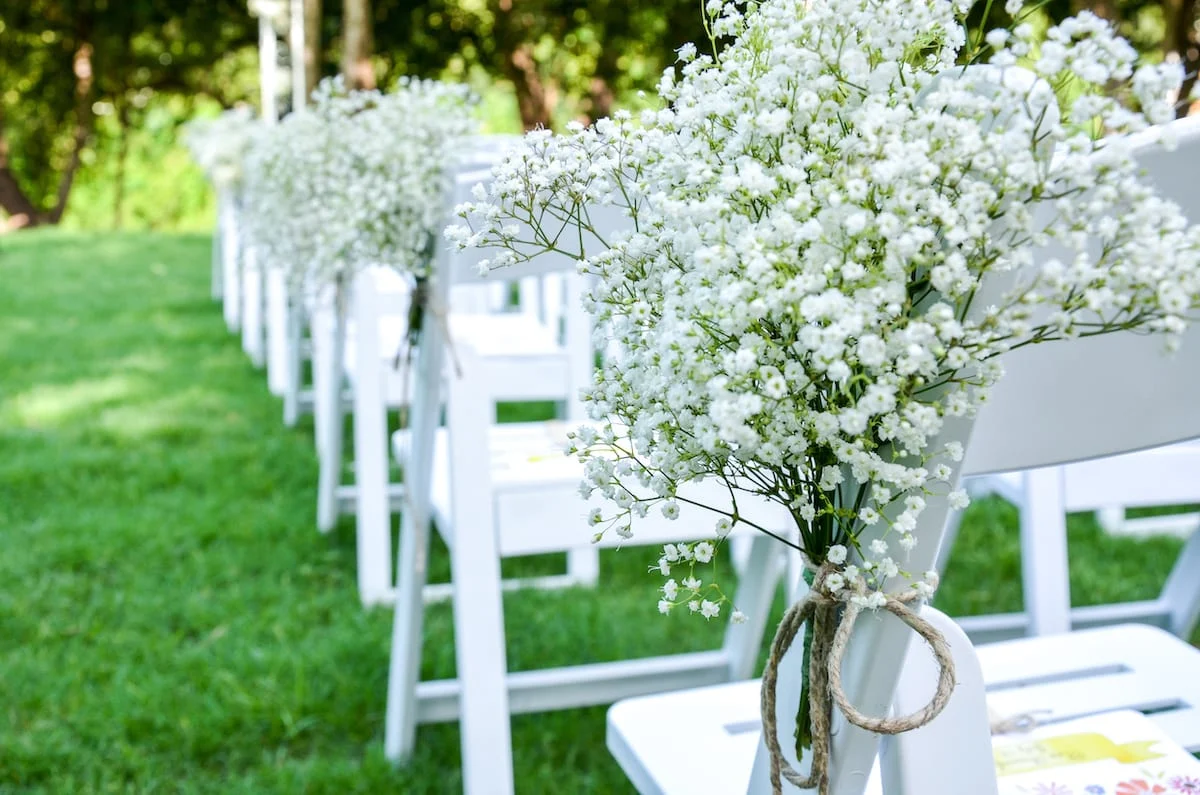 gypsophilia babys breath amazon flowers a top brand in floral arrangements babys breath wedding as269082598