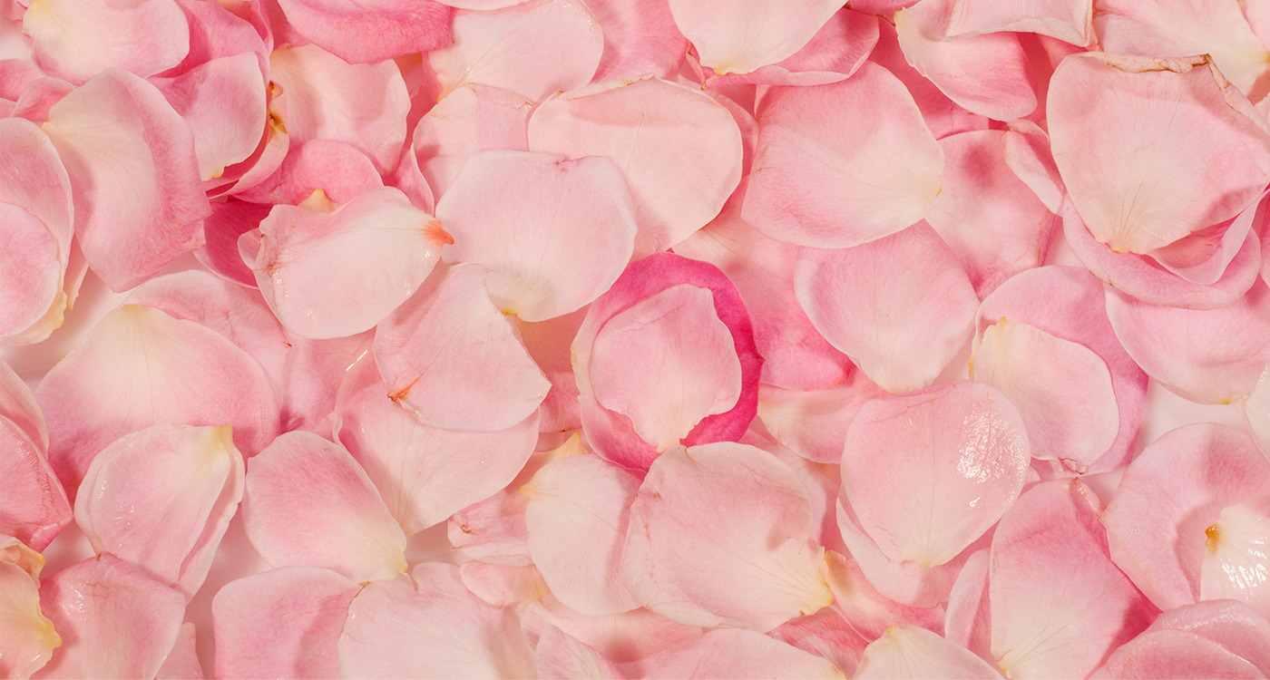 rose petals your guide to buying prepping and storing 7 creative and romantic ways to delight her with roses other than in a bouquet or vase