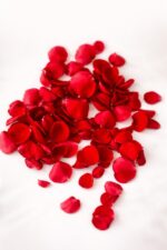 20260108_1344_Image Generation_remix_01kefes7e3e9atv159xm392320