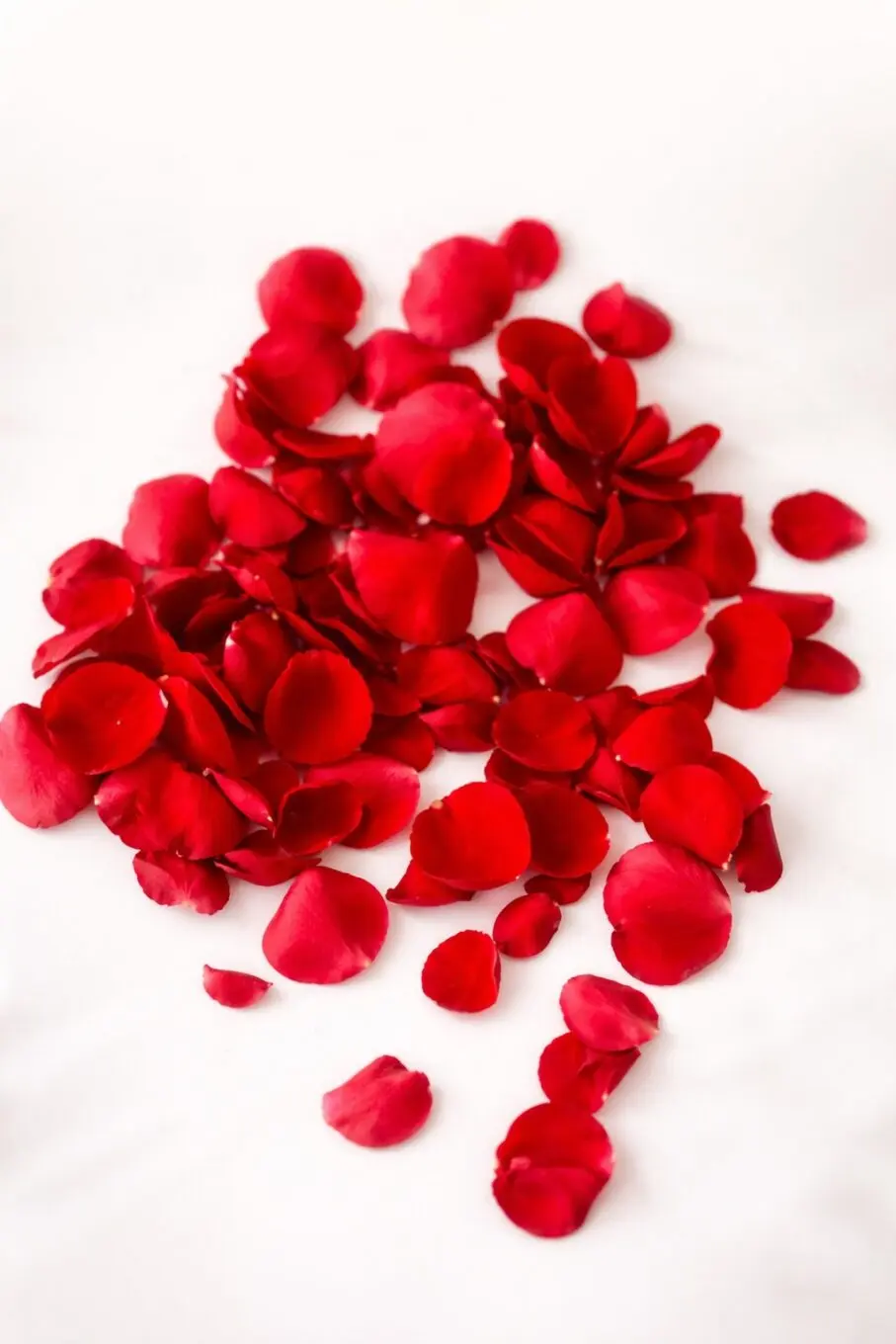 20260108_1344_Image Generation_remix_01kefes7e3e9atv159xm392320