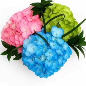 Hydrangea Tinted (Premium)