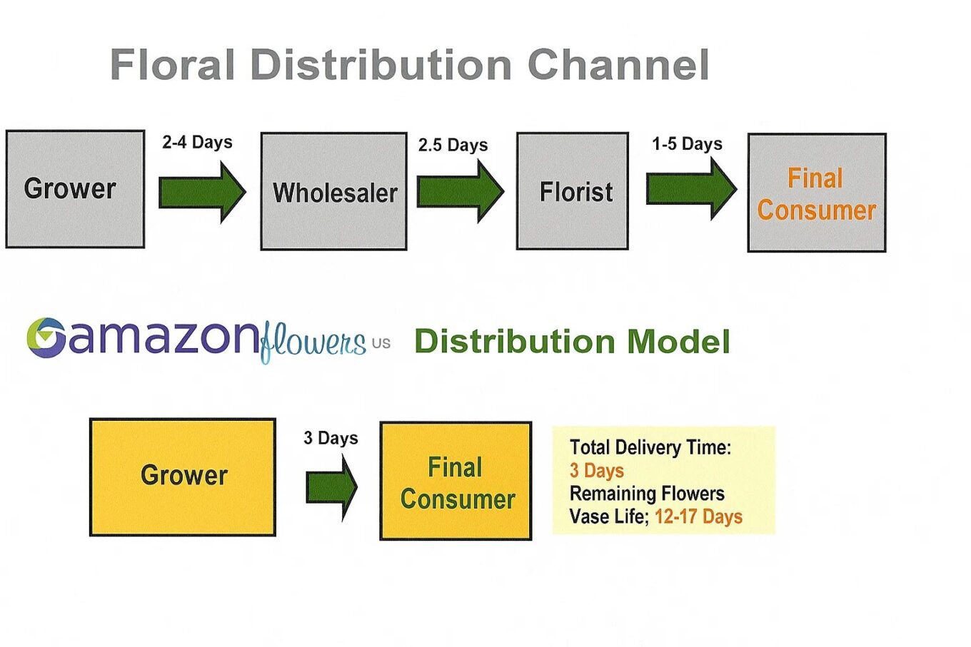 Delivery Information 2 delivery information delivery information generated image