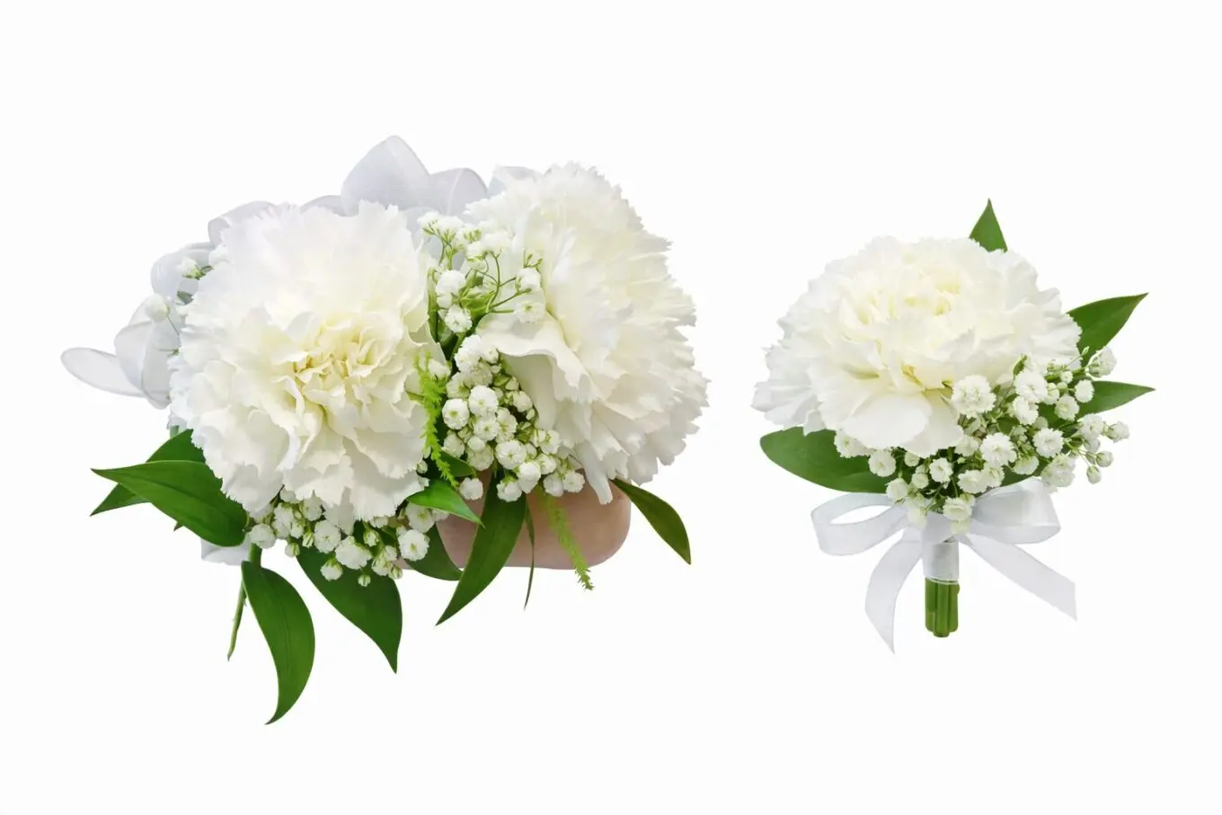Corsage + Boutonniere Calliope
